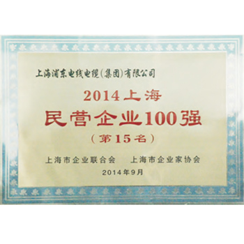 民营企业100强